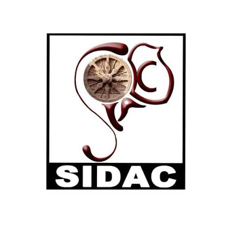 State Institute of Design & Craft